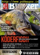 Blinker – September 2019
