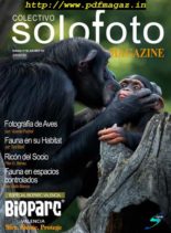Colectivo Solofoto – Julio-Septiembre 2019