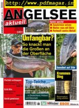 Angelsee Aktuell – Oktober 2019