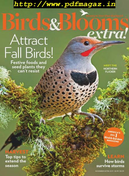 Birds and Blooms Extra – November 2019