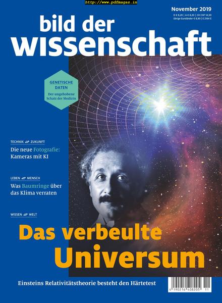 Bild der Wissenschaft – November 2019