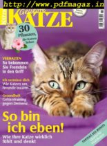 Geliebte Katze – Oktober 2019
