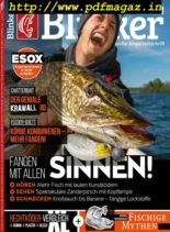 Blinker – Oktober 2019