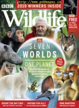 BBC Wildlife – November 2019