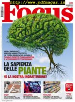 Focus Italia – novembre 2019