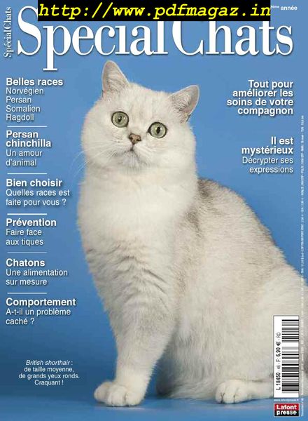 Special Chats – octobre 2019