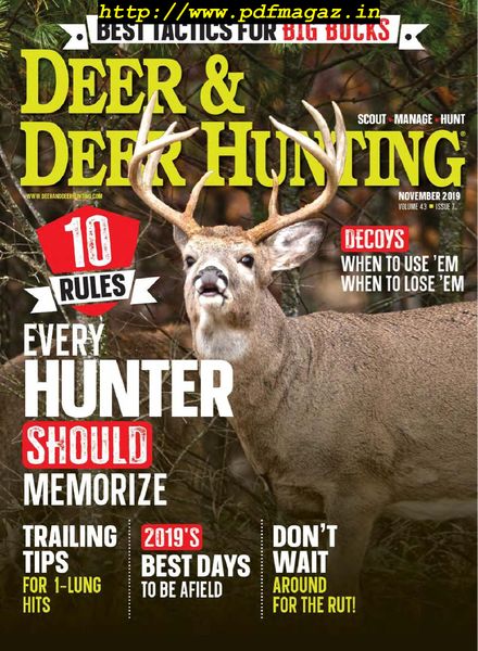 Deer & Deer Hunting – November 2019