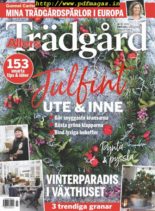 Allers Tradgard – november 2019