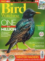 Bird Watching UK – November 2019