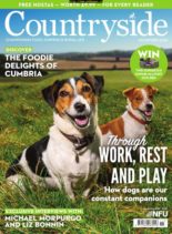 Countryside – November 2019