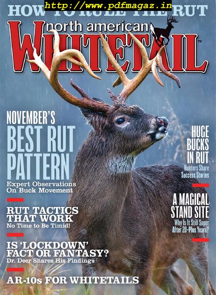 North American Whitetail – November 2019