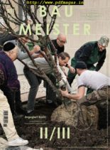 Baumeister – November 2019
