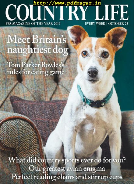 Country Life UK – November 2019