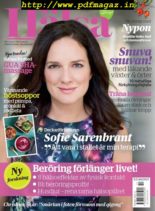 Halsa – 24 oktober 2019
