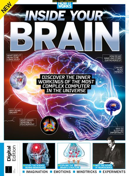 Inside Your Brain – October 2019