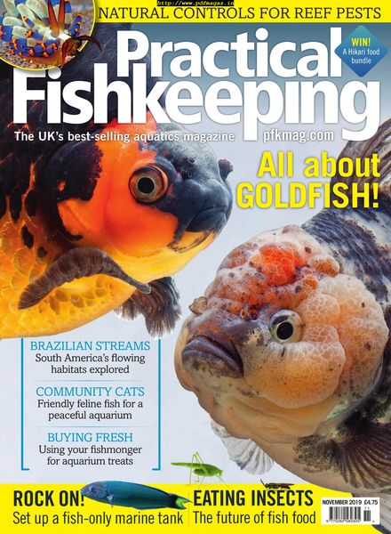 Practical Fishkeeping – November 2019