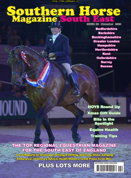 Southern Horse South East – November 2019