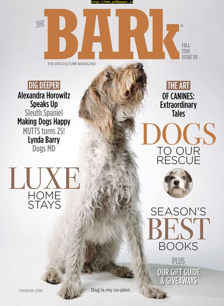 The Bark – October 2019