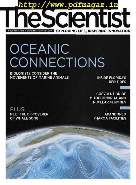 The Scientist – November 2019