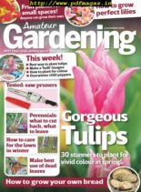 Amateur Gardening – 02 November 2019