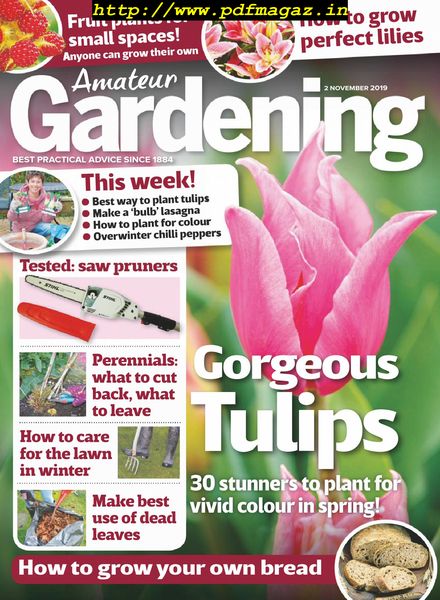 Amateur Gardening – 02 November 2019