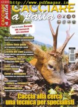 Cacciare a Palla – Gennaio 2015