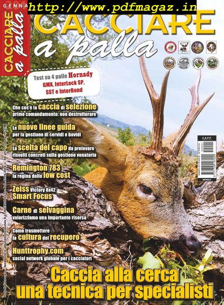 Cacciare a Palla – Gennaio 2015