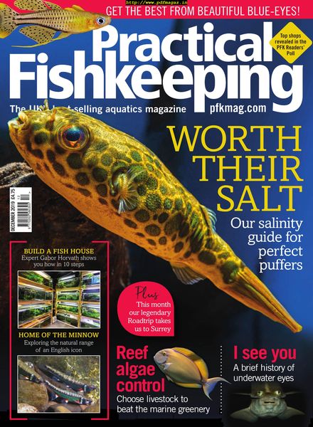 Practical Fishkeeping – December 2019