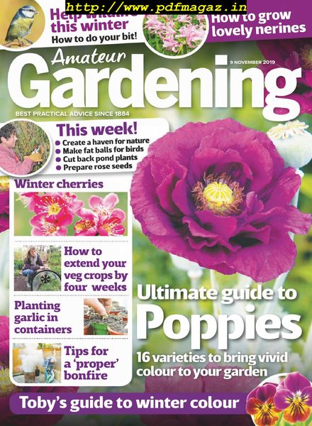 Amateur Gardening – 09 November 2019