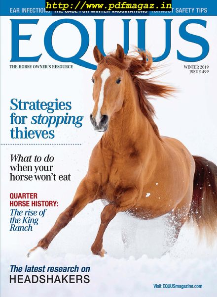 Equus – October 2019