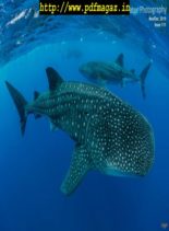 Underwater Photography – November-December 2019