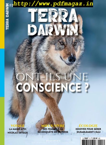Terra Darwin – decembre 2019