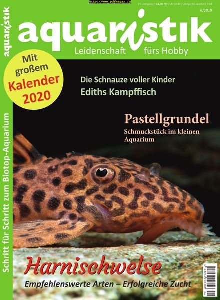Aquaristik – November 2019