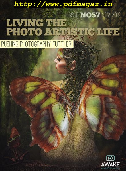 Living The Photo Artistic Life – November 2019