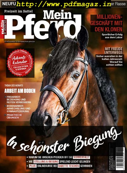 Mein Pferd – November 2019