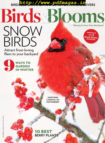 Birds & Blooms – December-January 2019