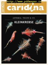 Caridina – Nr.4, 2019