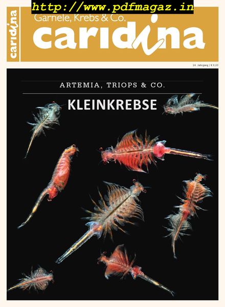 Caridina – Nr.4, 2019