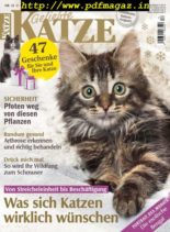 Geliebte Katze – November 2019