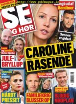 SE og HOR – 13 november 2019
