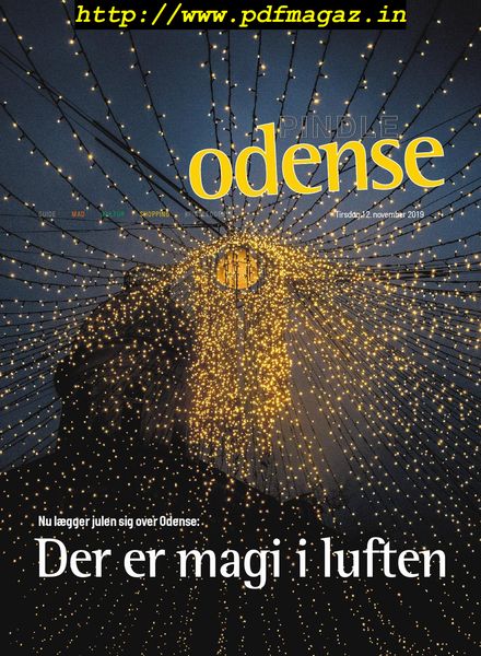Pindle Odense – 12 november 2019