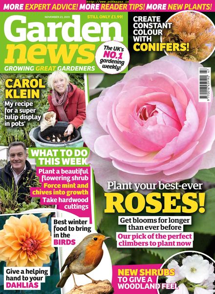 Garden News – 19 November 2019
