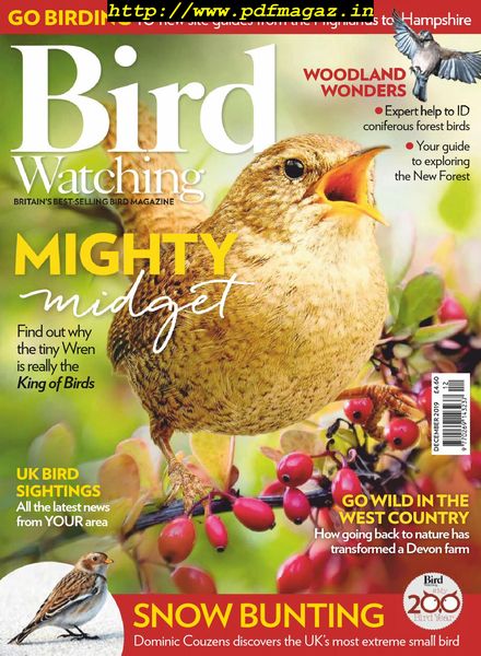 Bird Watching UK – December 2019