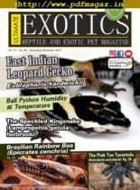 Ultimate Exotics – November-December 2019