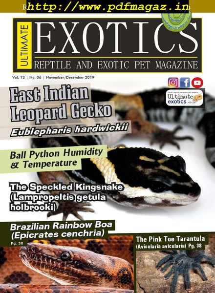 Ultimate Exotics – November-December 2019