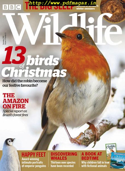 BBC Wildlife – December 2019