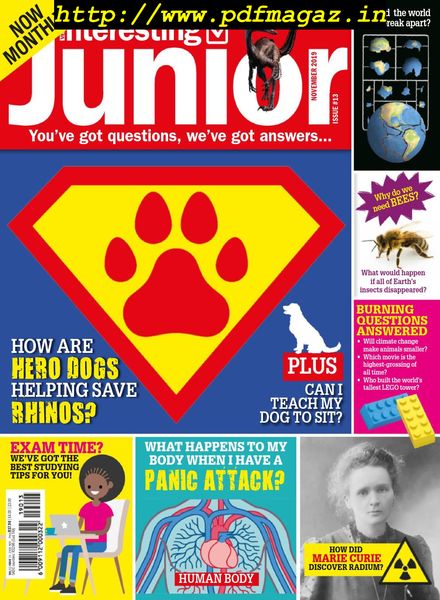Very Interesting Junior – November 20, 2019