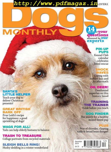Dogs Monthly – December 2019