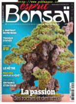 Esprit Bonsai – decembre 2019
