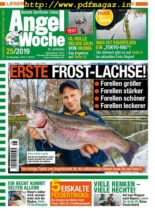 Angel Woche – 29 November 2019